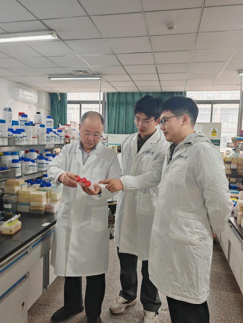 为了让&ldquo;催化工匠&rdquo;酶&ldquo;排队干高效活&rdquo;,江南大学搭建了一个&ldquo;分子积木工厂&rdquo;